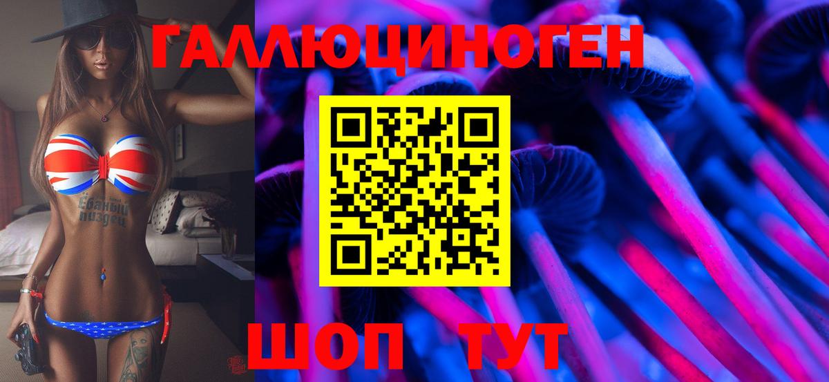 Галлюциногенные грибы Psilocybe  хочу наркоту  Клин  Вход с VPN 
